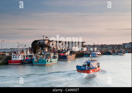 Bridlington harbour at sunset (fishing boat coming in, boats moored, pier, busy fish quay, calm sea) - scenic North Yorkshire Coast town, England, UK. Stock Photo