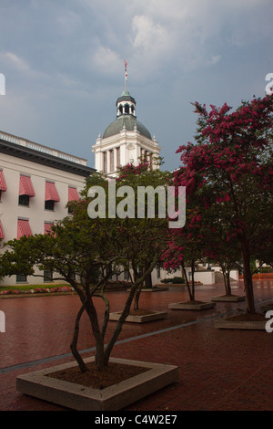 Historic Florida State Capitol in Tallahassee, Florida, USA Stock Photo