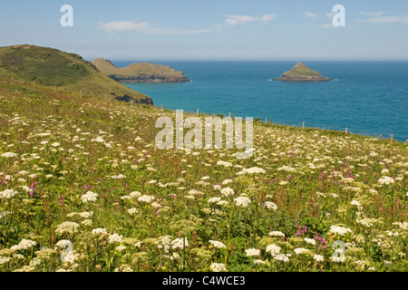 On Cornwalls rugged Atlantic coast near Carnweather Point, looking west across Port Quin Bay towards The Rumps and The Mouls Stock Photo