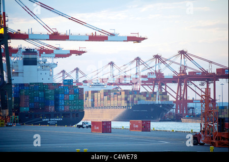 The UASC line Shuwaikh and Northern Jamboree ships unload in Port Elizabeth Stock Photo