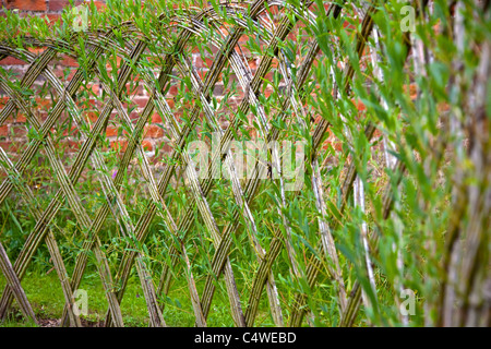 Live Willow woven screen fencing or fedge, England, UK Stock Photo