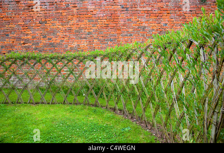 Live Willow woven screen fencing or fedge, England, UK Stock Photo