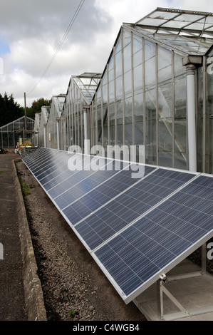 Solar panels producing electric power for greenhouses South Wales UK Stock Photo