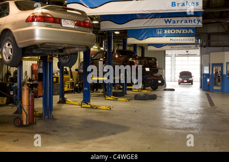 A Honda dealer has a busy repair shop with cars on hydraulic lifts. Stock Photo