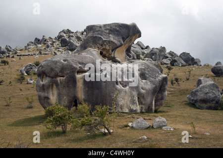 Kura Tawhiti Conservation Area - Castle Hill New Zealand Stock Photo