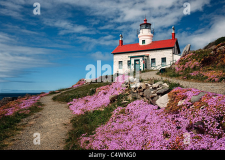 Ice plant blooms around Battery Point Lighthouse (1856) at Crescent City, California. Stock Photo