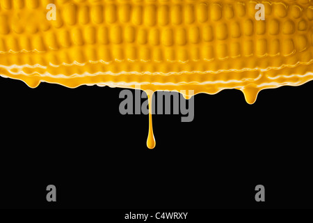 Studio shot of corn cob covered with yellow paint Stock Photo