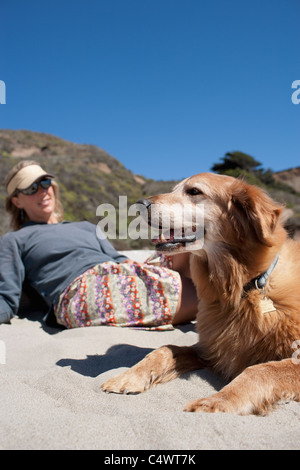 USA, California, Golden retriever with owner on beach Stock Photo