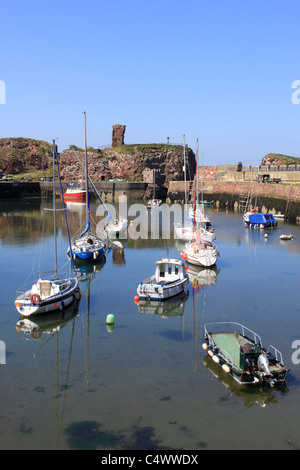 Dunbar Castle Ruins And Victoria Harbour, Dunbar, East Lothian ...