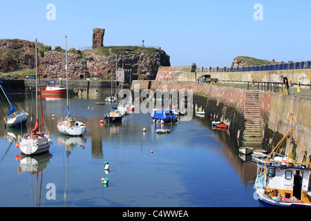 Dunbar Castle ruins and Victoria Harbour, Dunbar, East Lothian, Scotland. Stock Photo