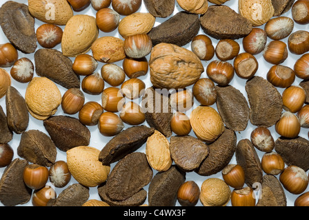 Mixed Nuts in Shells: Scattered Hazels Nuts, Walnuts, Brazil Nuts and Almonds, Background Stock Photo