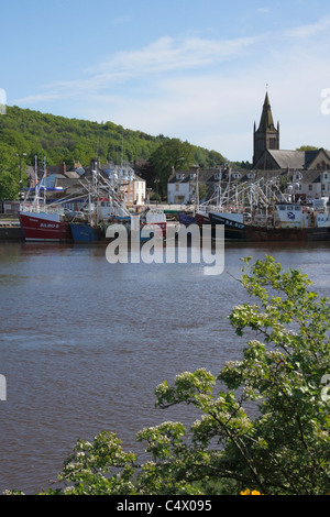 Fishing boats in harbour at Kirkcudbright, Dumfries and Galloway, South West Scotland Stock Photo