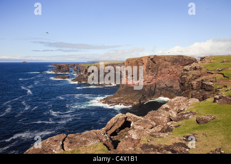 Head of Stanshi, Eshaness, Shetland Islands, Scotland, UK, Britain. View to cliffs on spectacular rocky coastline Stock Photo