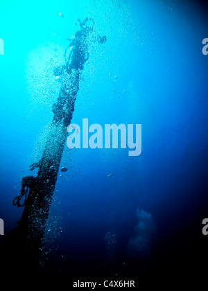 Ship Wreck Dive, Roatan, The Bay Islands, Honduras, Central America Stock Photo