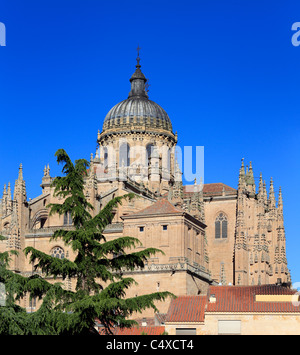 New Cathedral (Catedral Nueva), Salamanca, Castile and Leon, Spain Stock Photo