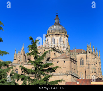 New Cathedral (Catedral Nueva), Salamanca, Castile and Leon, Spain Stock Photo