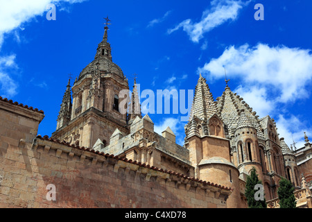 New Cathedral (Catedral Nueva), Salamanca, Castile and Leon, Spain Stock Photo