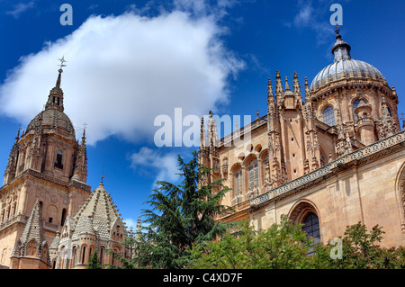 New Cathedral (Catedral Nueva), Salamanca, Castile and Leon, Spain Stock Photo