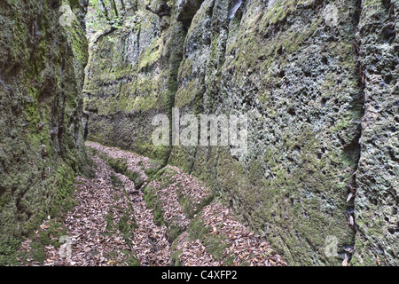 Cava Buia or 'Dark Cave', suggestive 'etruscan cut'. Norchia, central Italy. Stock Photo