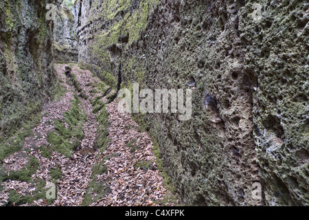 Cava Buia or 'Dark Cave', suggestive 'etruscan cut'. Norchia, central Italy. Stock Photo