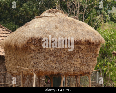 Hay stocked for feeding domestic animals, Mahabaleshwar, Satara, Maharasthra, India Stock Photo