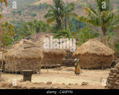 Hay stocked for feeding domestic animals, Mahabaleshwar, Satara, Maharasthra, India Stock Photo