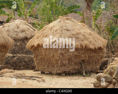 Hay stocked for feeding domestic animals, Mahabaleshwar, Satara, Maharasthra, India Stock Photo