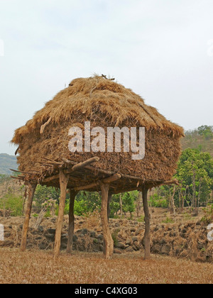 Hay stocked for feeding domestic animals, Mahabaleshwar, Satara, Maharasthra, India Stock Photo