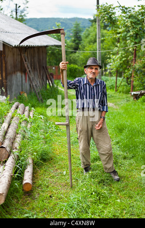 Senior farmer using scythe to mow the lawn traditionally Stock Photo