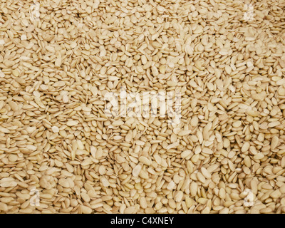 Lots of almonds, without shell Stock Photo