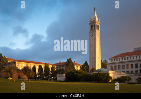 Sather Tower (a.k.a the Campanile) on the campus of the University of California at Berkeley. Stock Photo