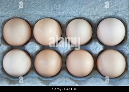 Brown 'chicken' eggs in carton, Stock Photo