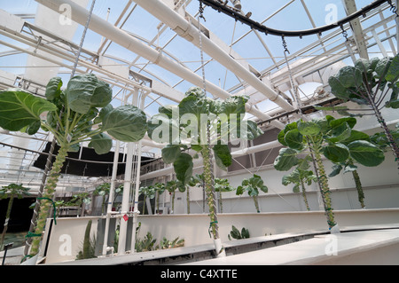 Grow Giant Hydroponics Supplies And Organic Gardening