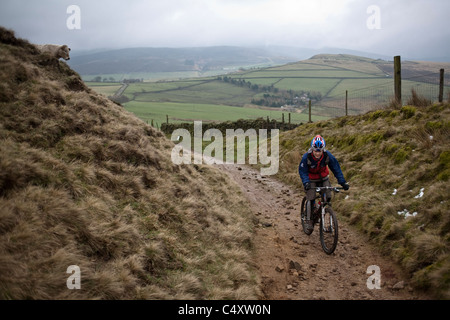 Mountain biker rides a trail past a cow in the Peak District, England, United Kingdom Stock Photo