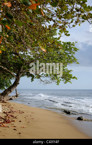 Beach scene in Puerto Rico Stock Photo