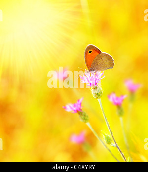 Beautiful yellow butterfly extreme closeup macro, nature life in spring Stock Photo
