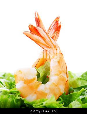 Green salad with shrimps isolated on white background, healthy eating concept Stock Photo