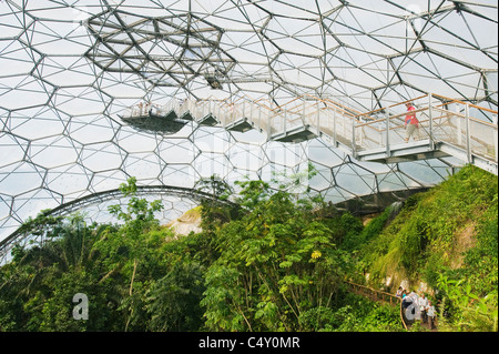 The Eden Project, Rainforest Biome, Greenhouse, Cornwall, England Stock Photo