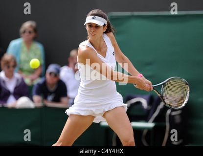 TSVETANA PIRONKOVA BULGARIA WIMBLEDON LAWN TENNIS CLUB WIMBLEDON ENGLAND 24 June 2011 Stock Photo