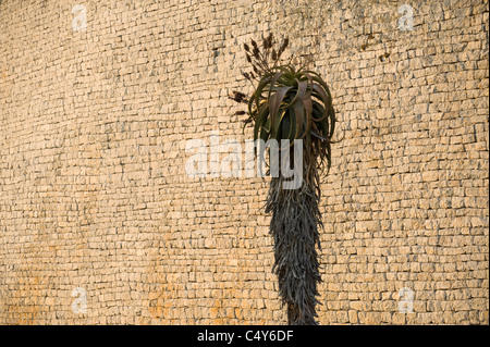 Great Zimbabwe Ruins, Masvingo, Zimbabwe Stock Photo