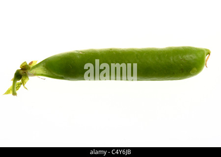 Vegetable. Green peas in pod. Stock Photo