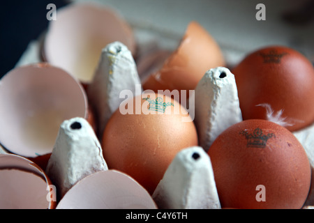 Free range eggs and egg shells from Burford Brown hens in an egg box Stock Photo