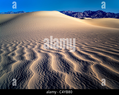 Patterns in sand after intense wind storm. Death Valley National Park, California Stock Photo