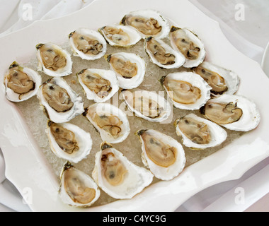 group of oysters on a half shell Stock Photo