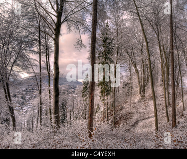 DE - BAVARIA: Winter Scene on the Kalvarienberg at Bad Toelz Stock Photo