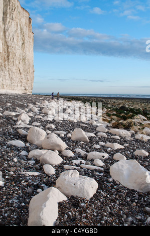 Birling Gap beach,  East Sussex, England UK. Coastline English channel Stock Photo