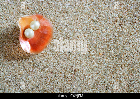 beach white sand with pearl in clam shell macro closeup Stock Photo