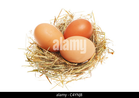Three chicken eggs in a straw nest Stock Photo