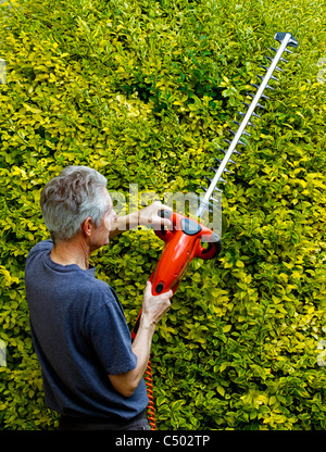 Older man using hedge trimmer UK Stock Photo