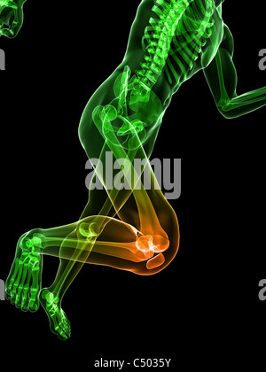 Jogger with painful knee joints Stock Photo